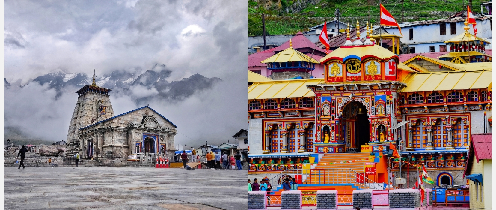 Super Premium  Dodham